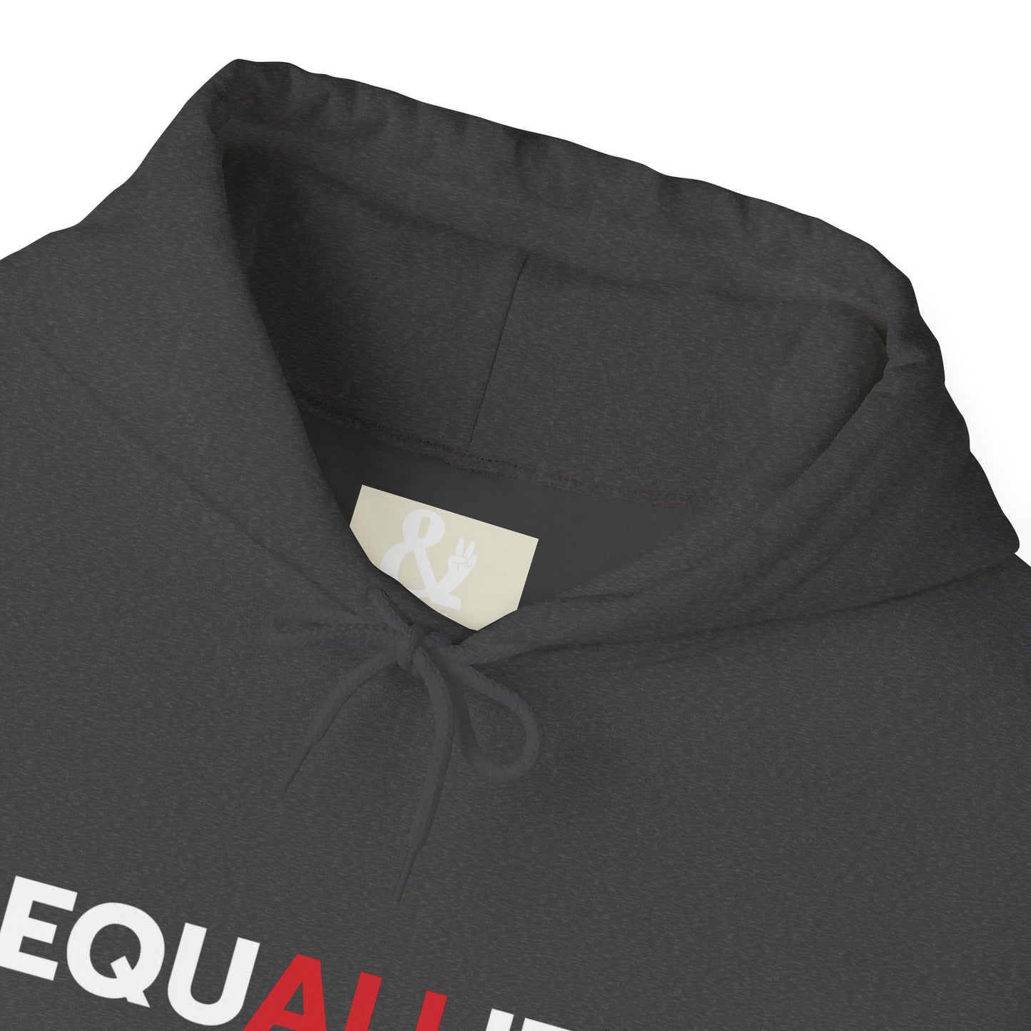 Equality Hooded Sweatshirt - Unisex Heavy Blend™ - Stylish Casual Wear, Perfect for Activism, Gifts, and Everyday Comfort
