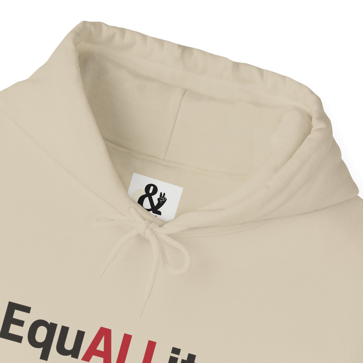 Equality Hoodie - Unisex Sweatshirt, Casual Wear, Gift for Equality Advocates, Perfect for Every Occasion, Comfortable Streetwear